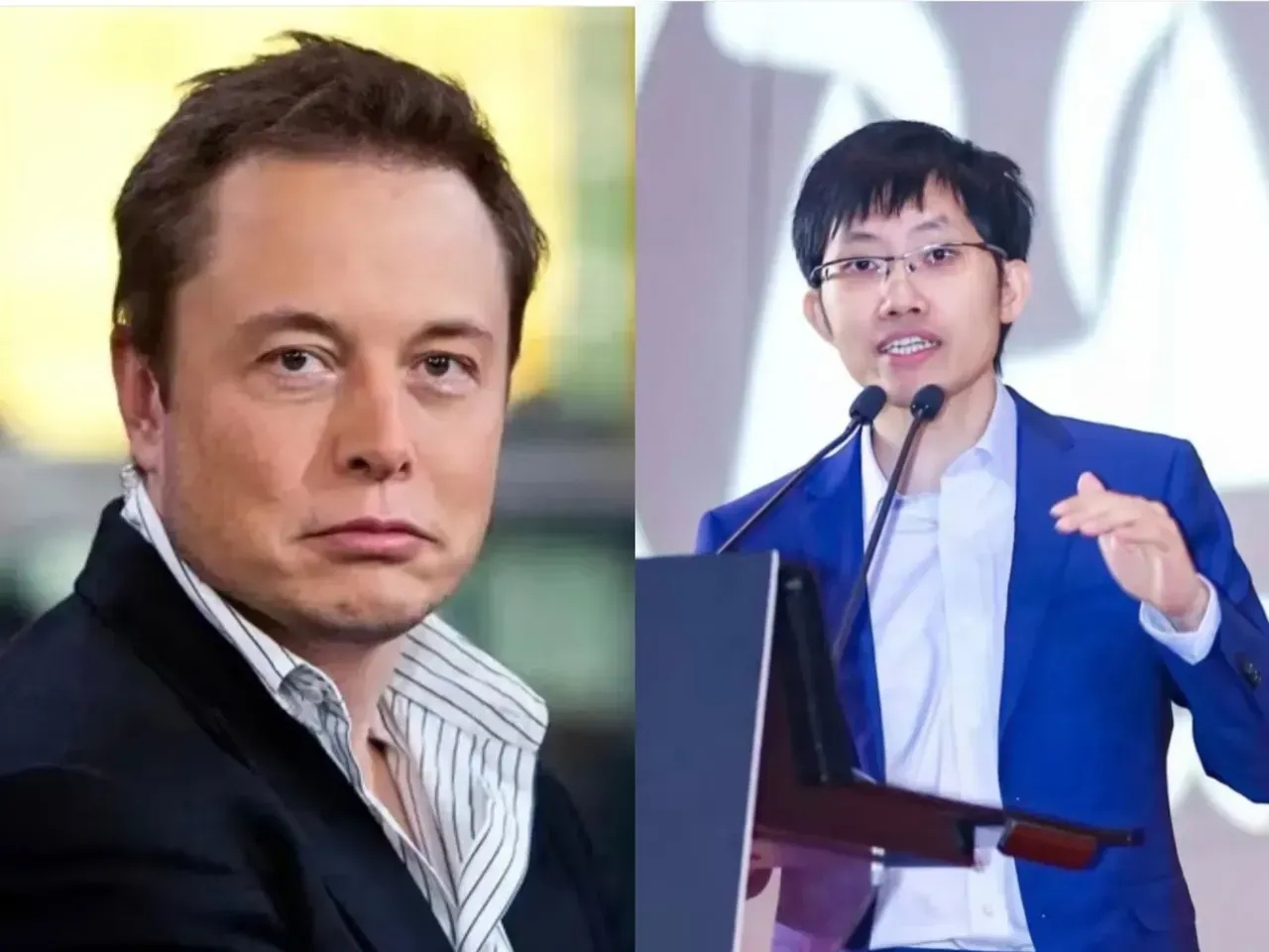 关于马斯克再次发推，Polkadot瞬间上上扬AVAX%的信息-手机投注