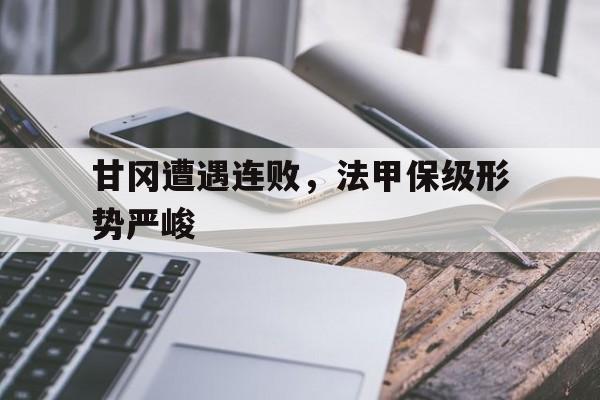 体育APP-甘冈vs